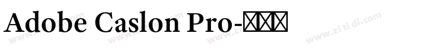 Adobe Caslon Pro字体转换